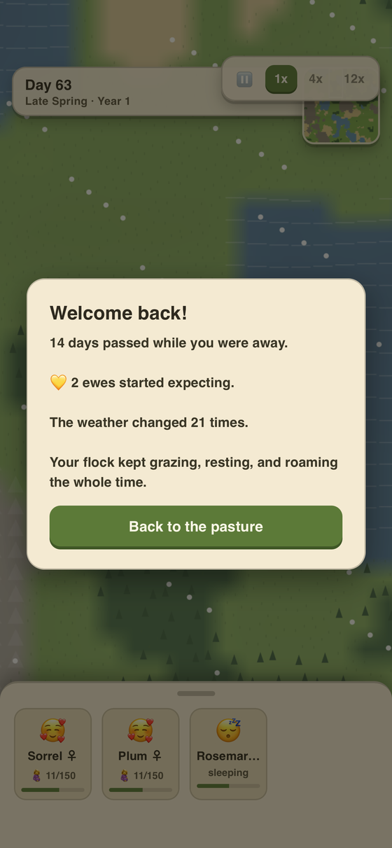 Wooly Acres welcome back summary after time away